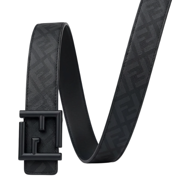 product image belt_1376